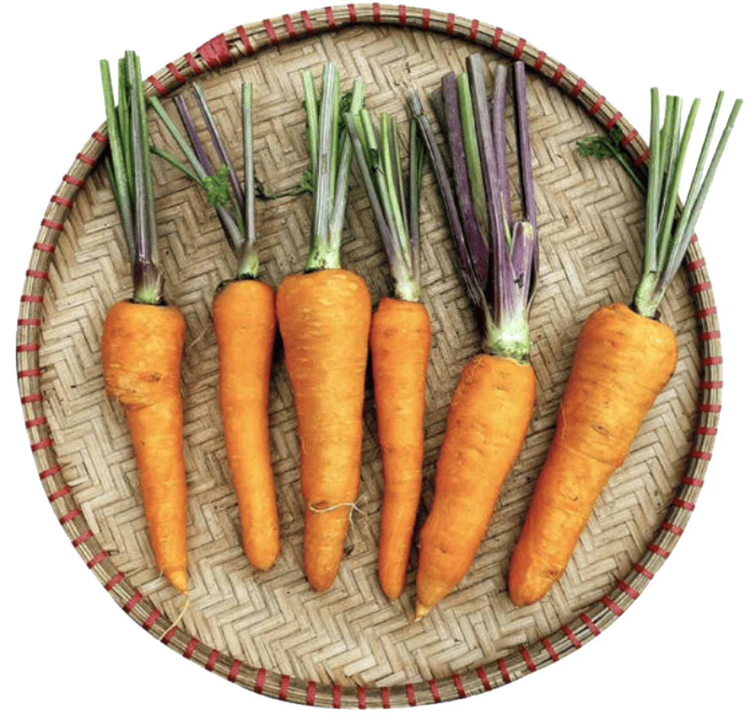 Cà rốt cộng tím Đà Lạt