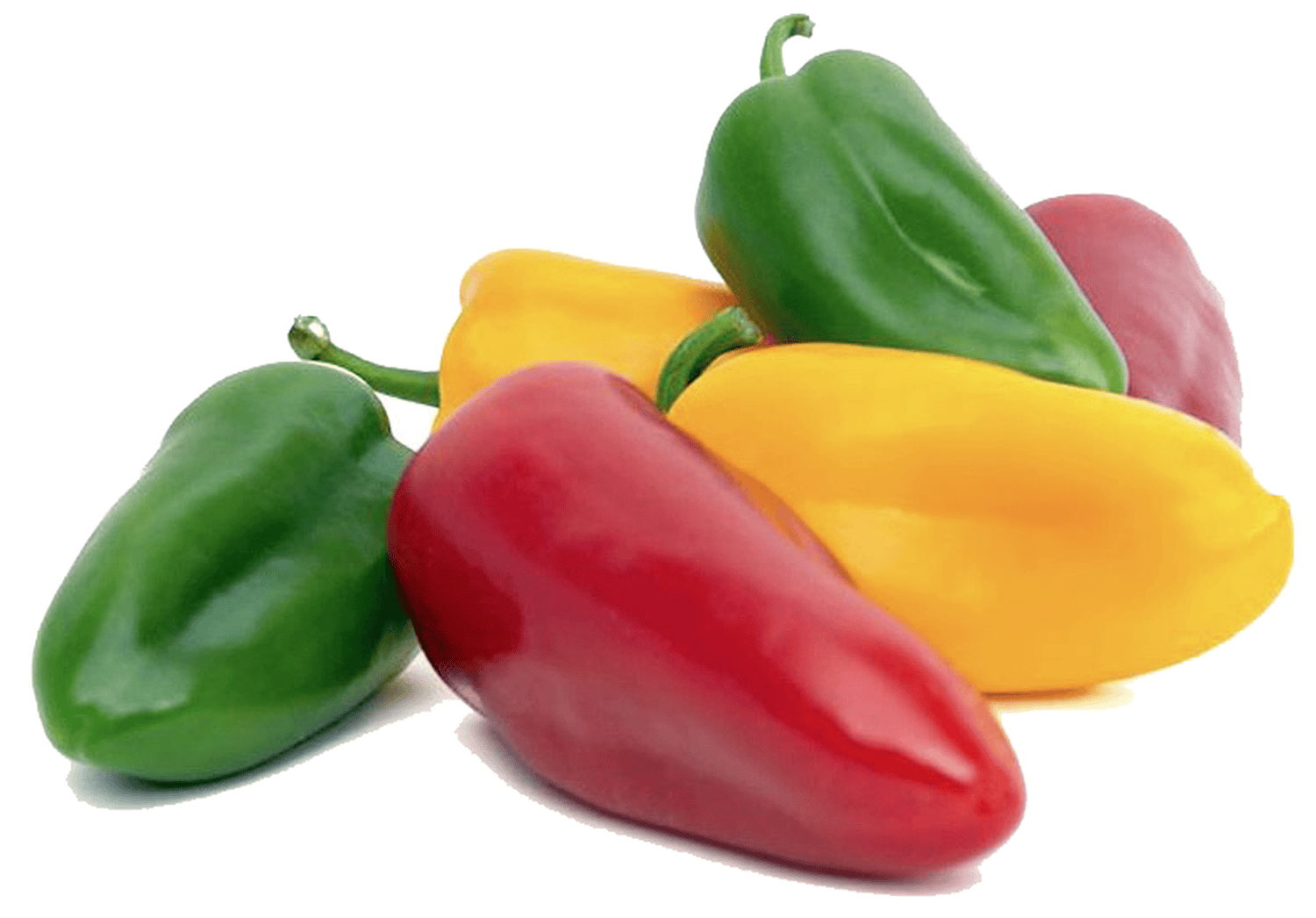 ỚT CHUÔNG BABY