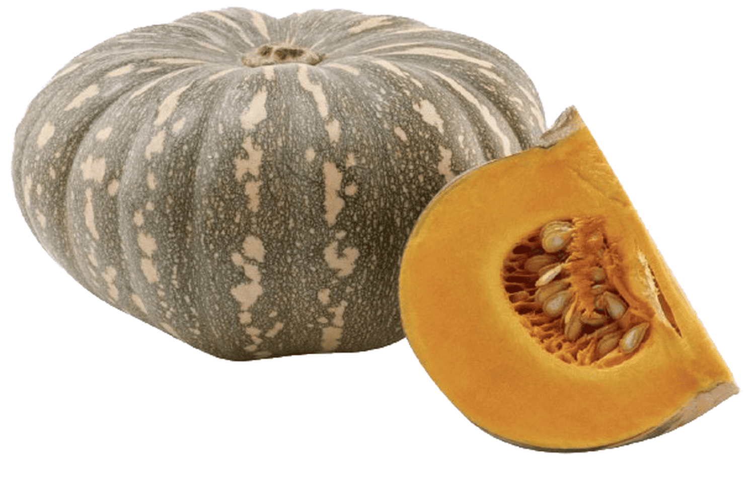 Bí đỏ bánh xe