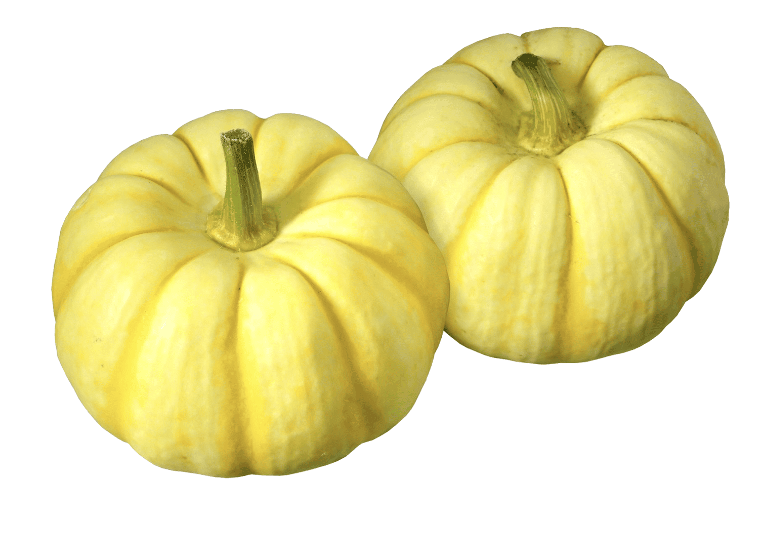 Bí ngô mini vàng