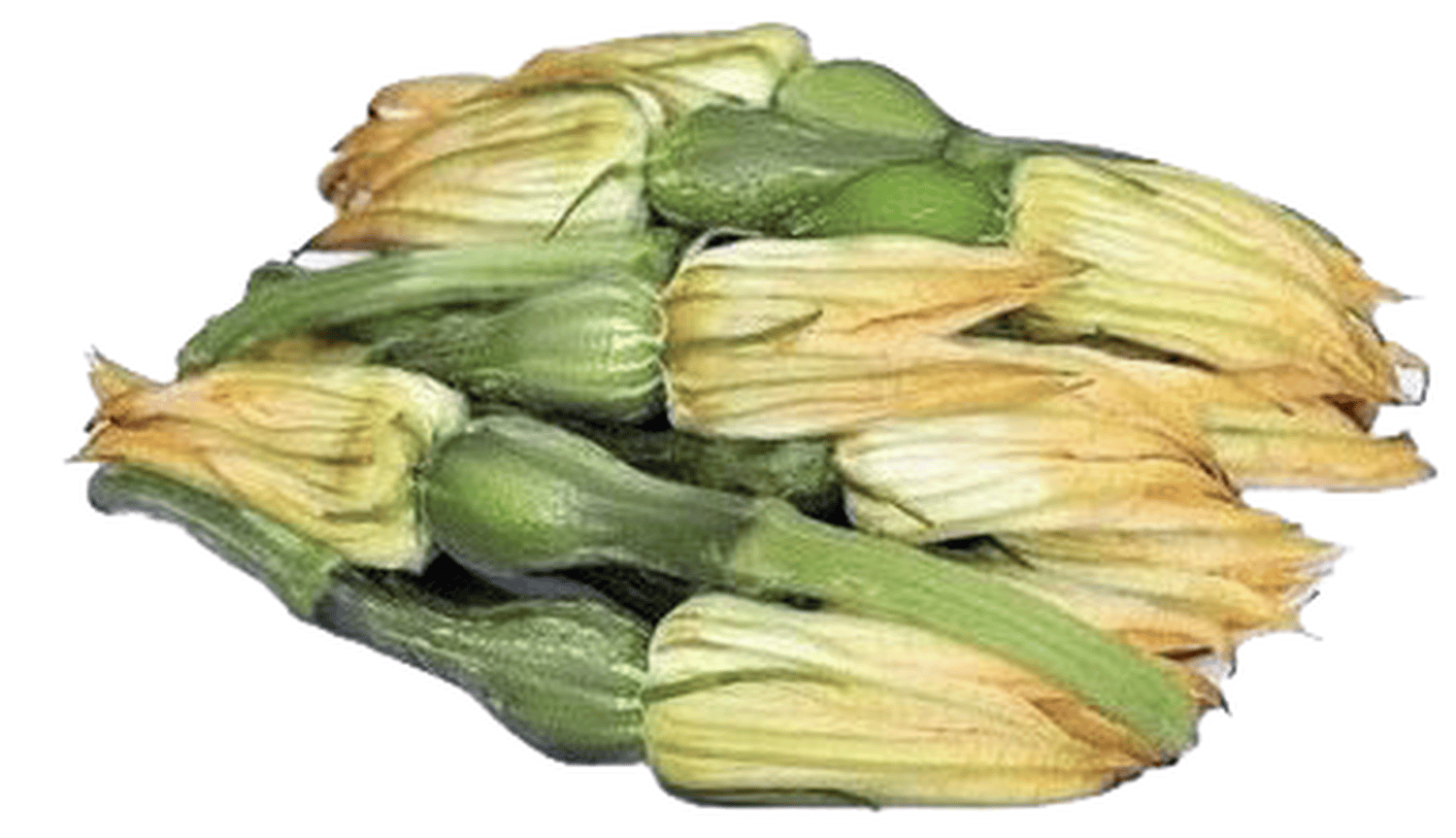 Bí nụ hàn quốc