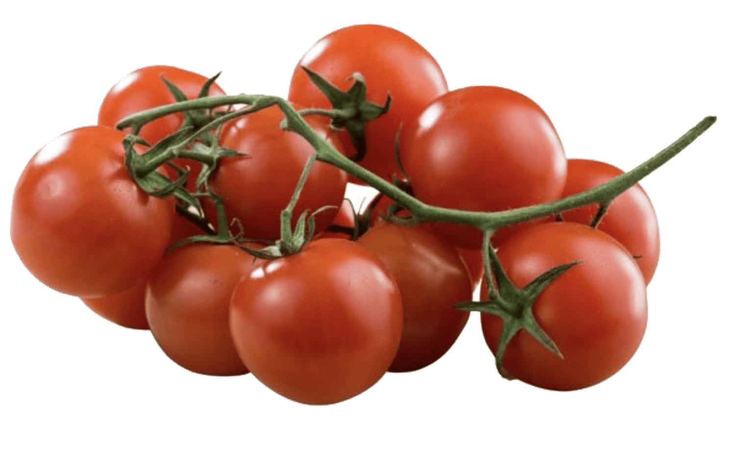 Cà chua chery đỏ