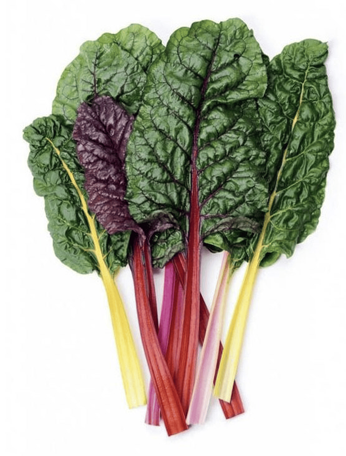 Cải cầu vòng