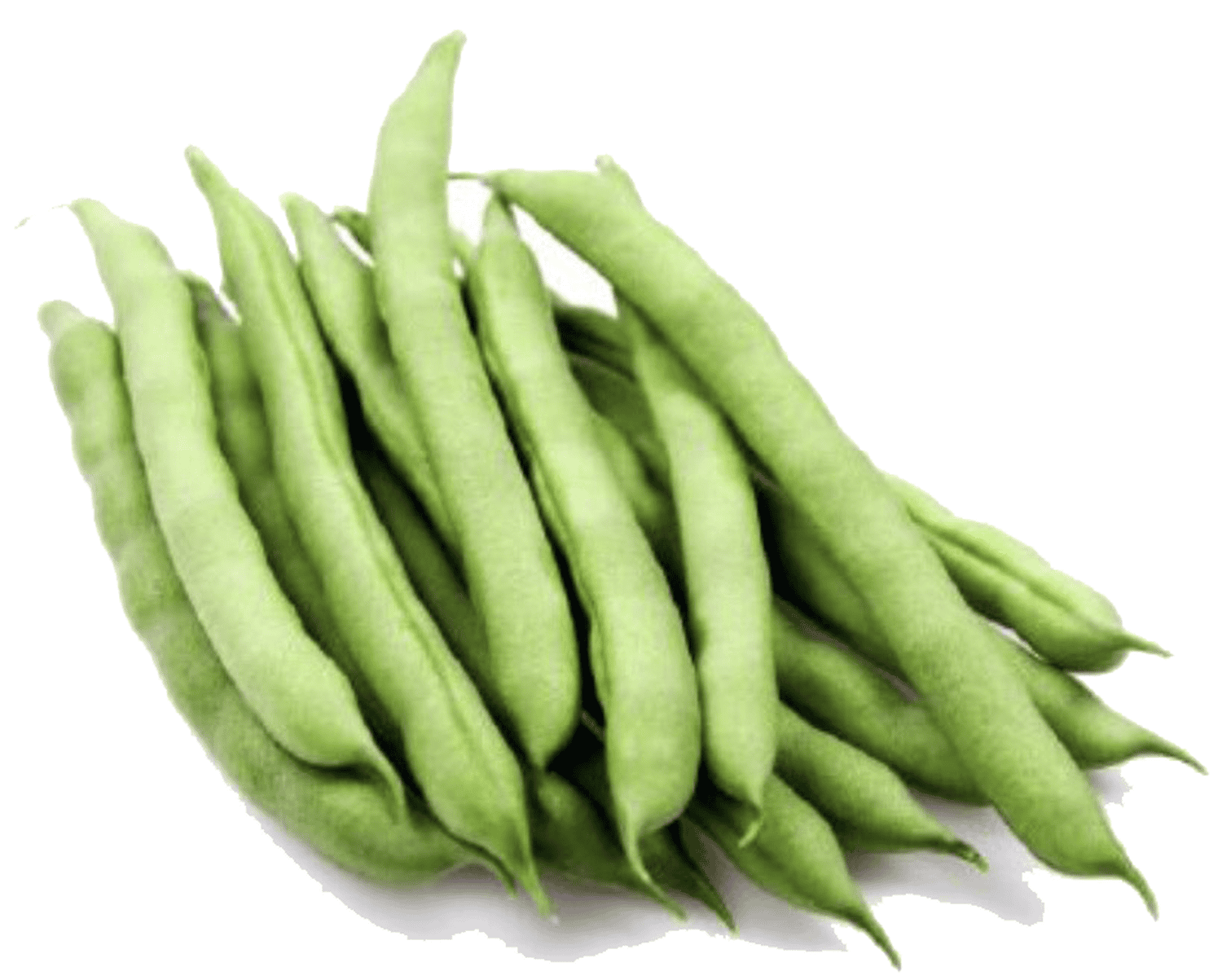 Đậu cove Nhật