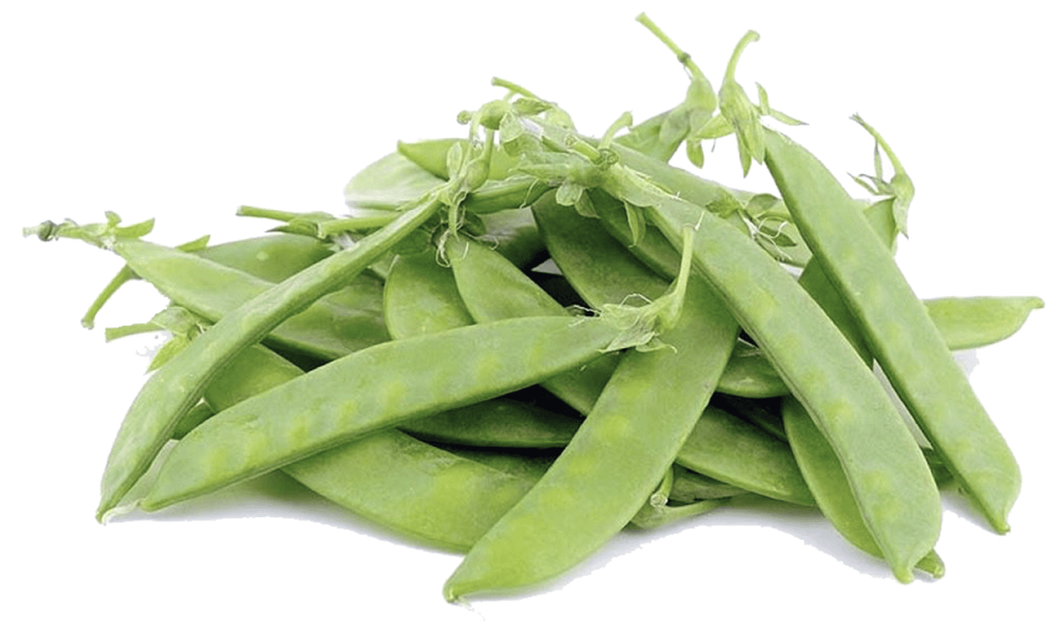 Đậu Hà Lan non