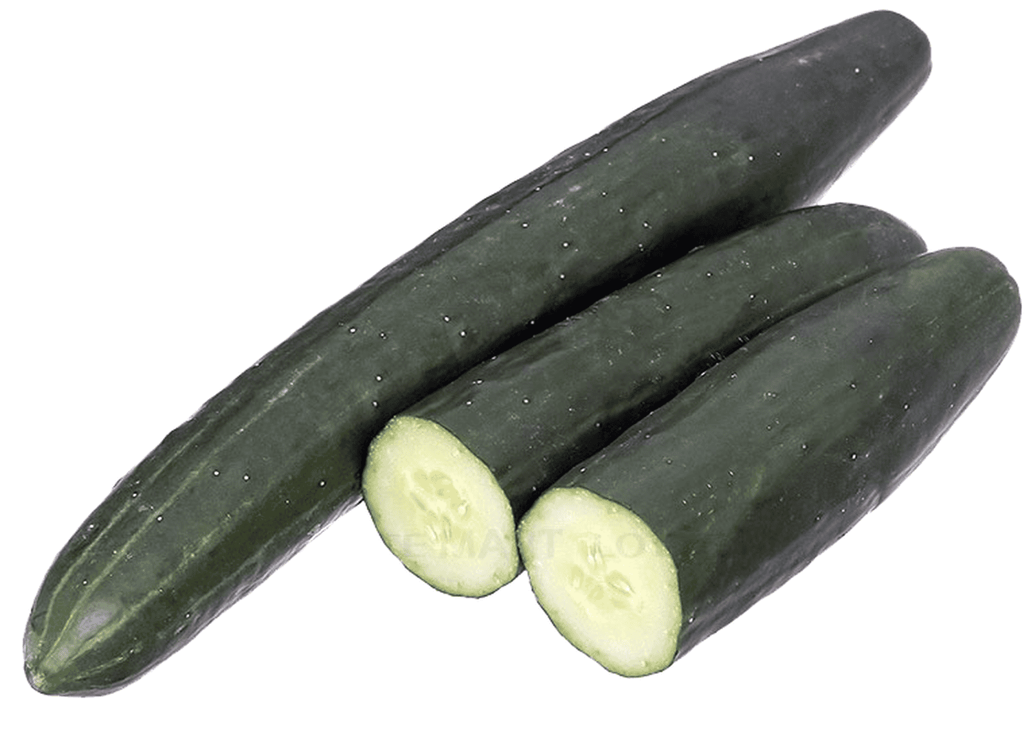 Dưa leo nhật trái dài