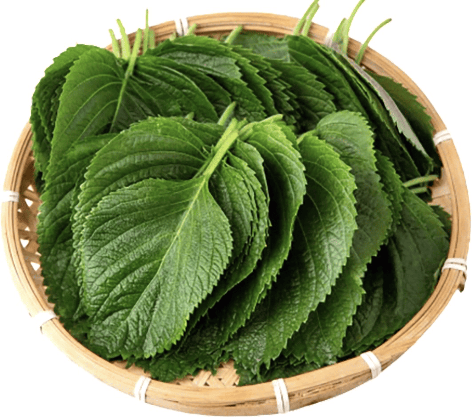 Lá mè hàn quốc