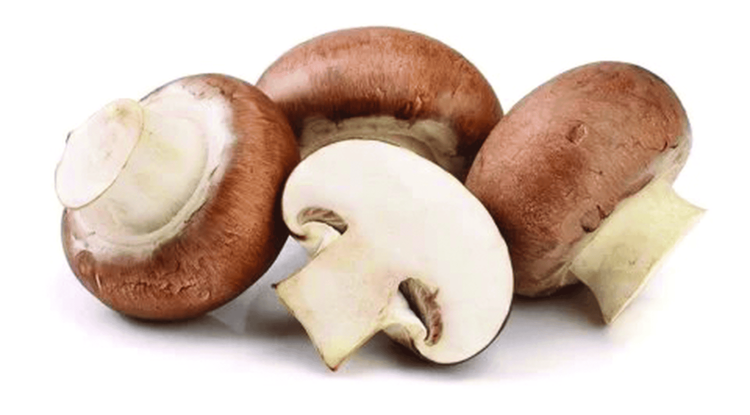 Nấm đông cô tươi