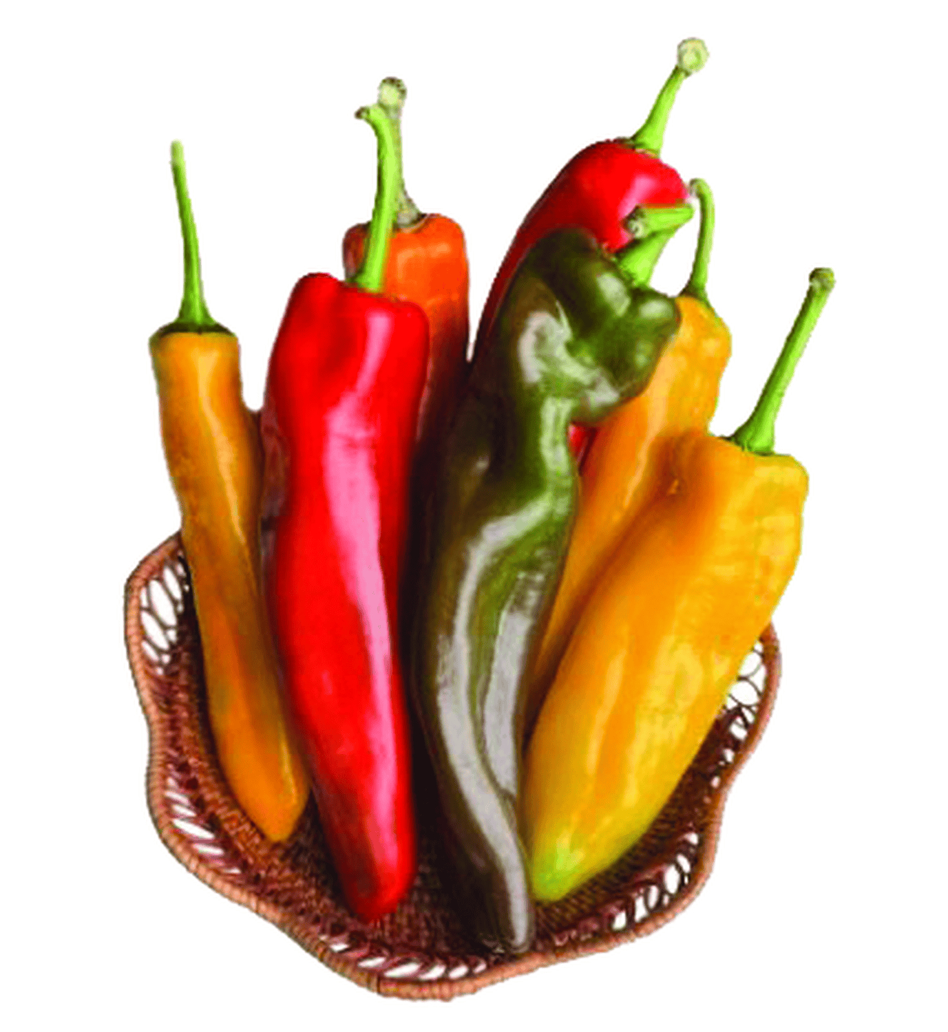 Ớt ngọt palermo